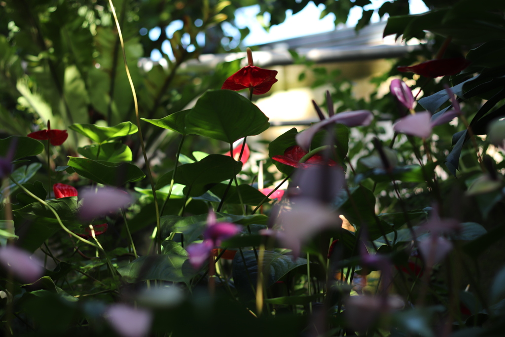 20210919155717_IMG_0241