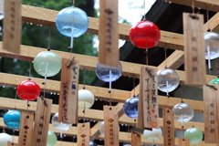 20210816113420_IMG_0084