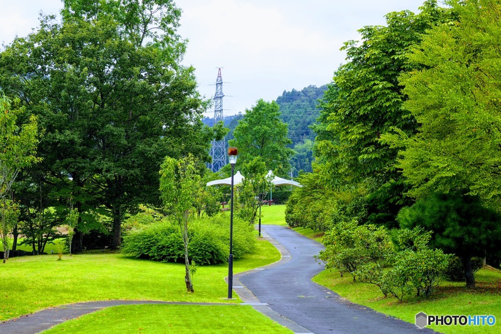 夏の公園