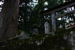 DSC00769