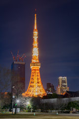 東京タワー。芝公園より。