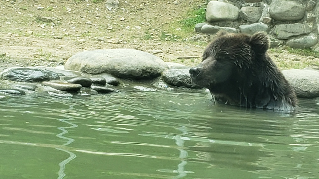 入浴中