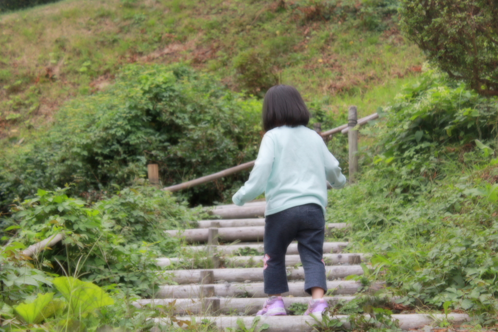 冒険日和