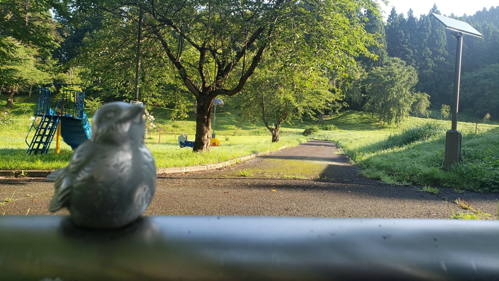 早朝の公園