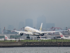 JAL2020ジェット