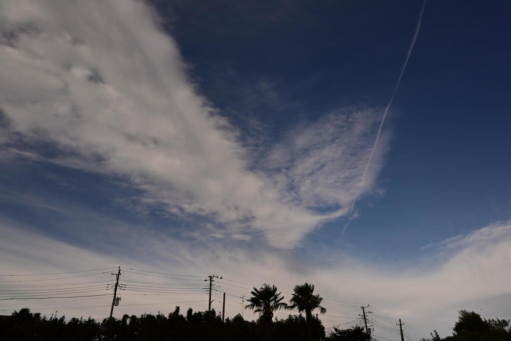 子供のとき遊んだ場所で