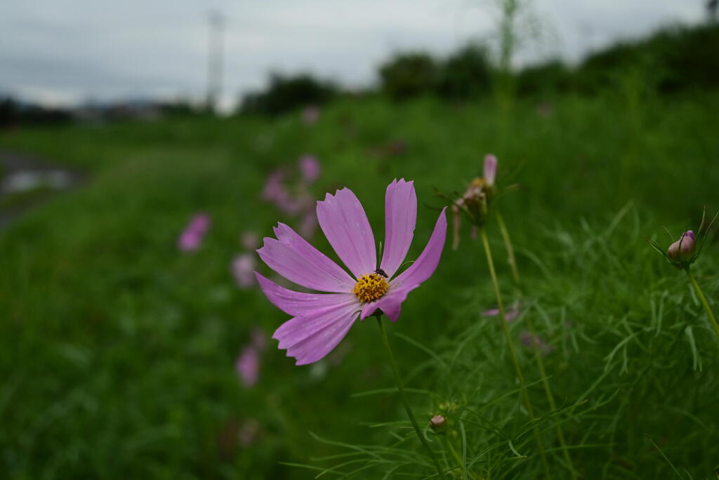 地元の公園にて
