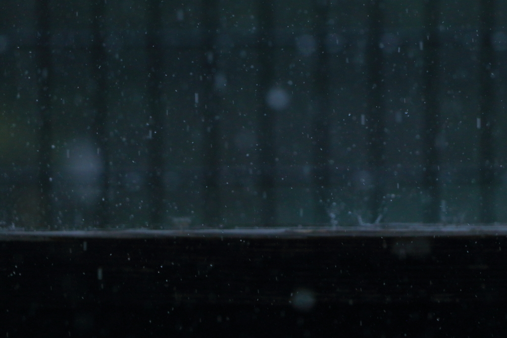 雨の日の早朝