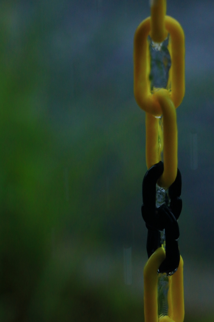 雨