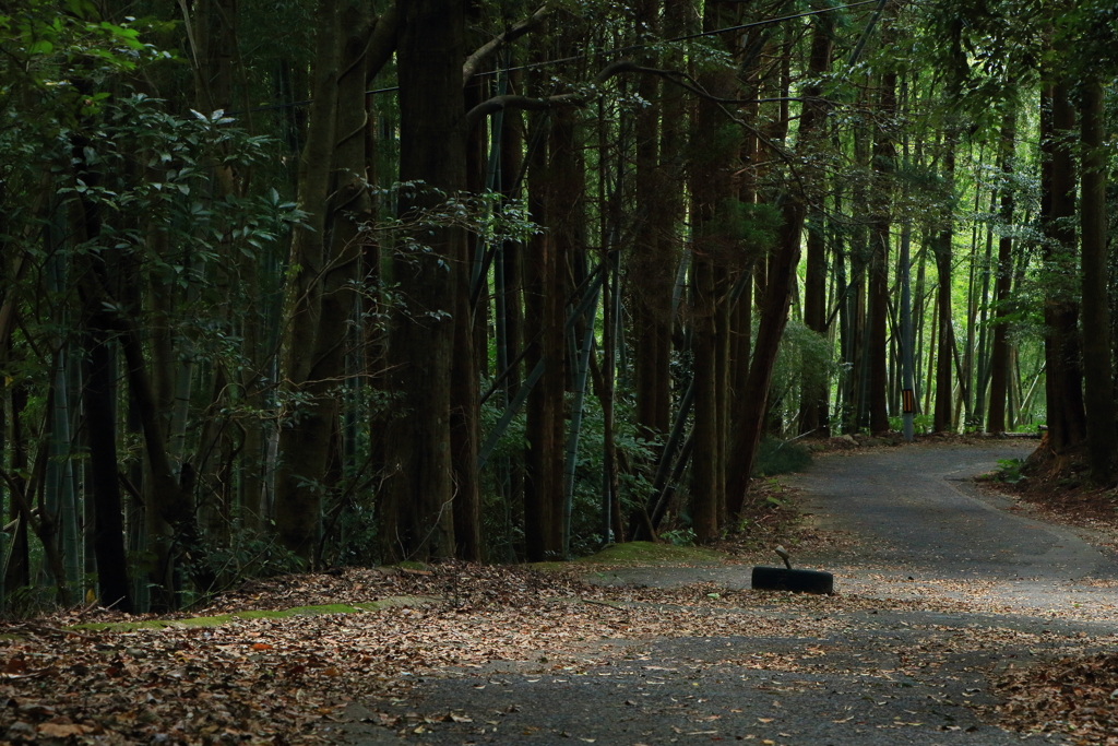 山道