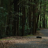 山道