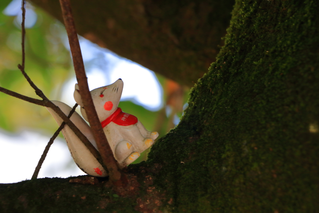 稲荷神社より