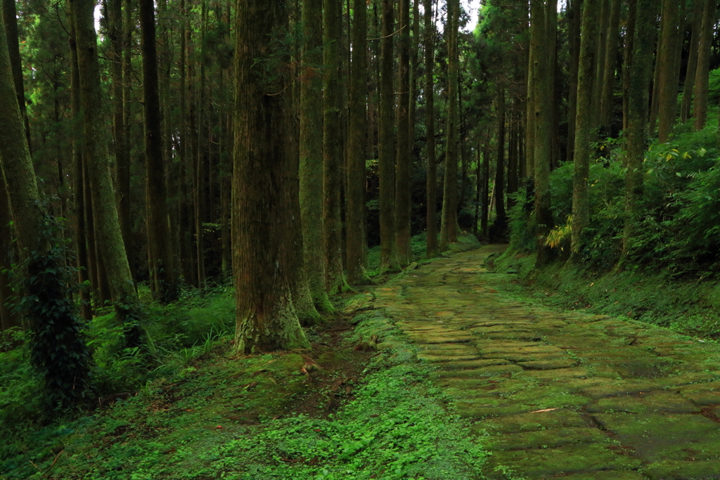 龍門司坂2