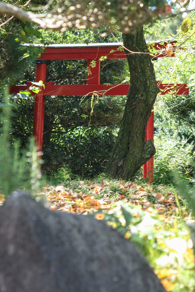 鳥居の前で