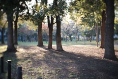 sanpo