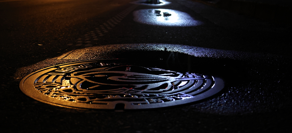 雨上がり夜散歩