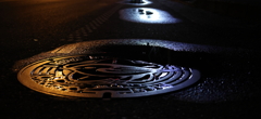 雨上がり夜散歩