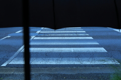 雨の日の景色