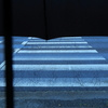 雨の日の景色