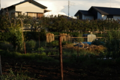 郷愁