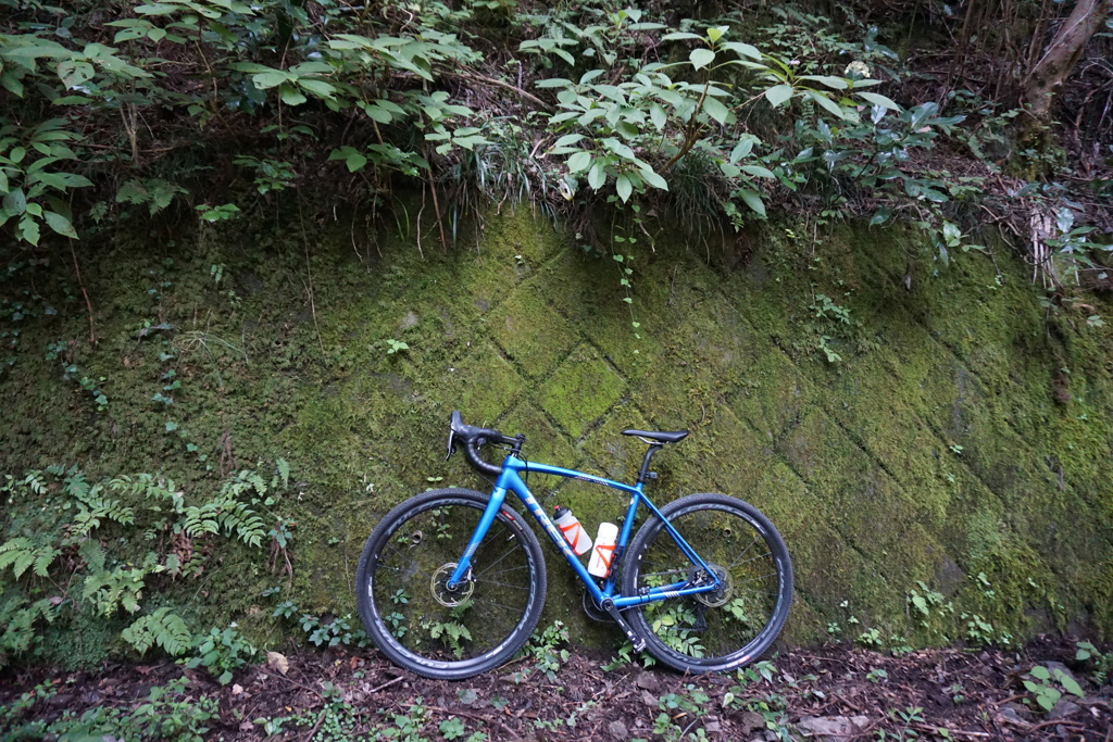 林道を行く１