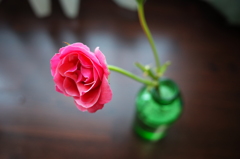 薔薇