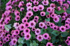 R0002883