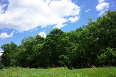 R0003097