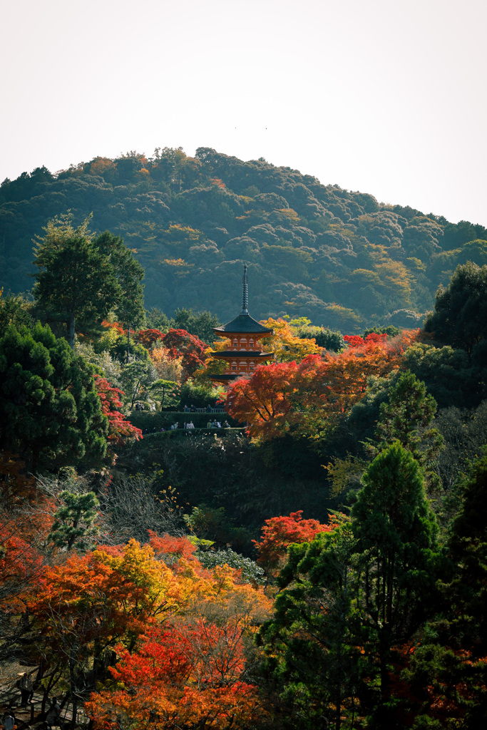 清水寺より