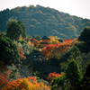 清水寺より