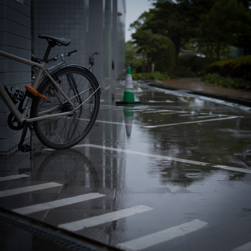 梅雨入り