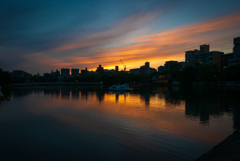 公園の夕陽