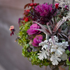 Flower Display