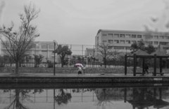 朝の一コマ