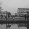 朝の一コマ