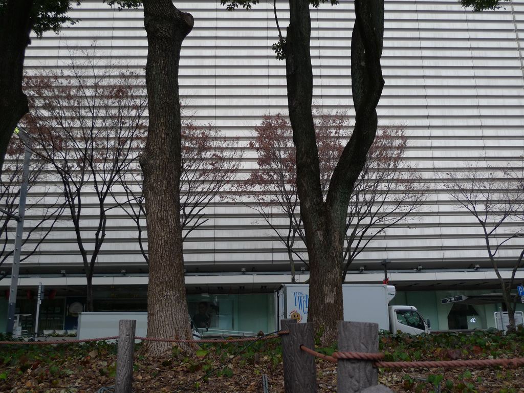 P1000056