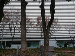 P1000056