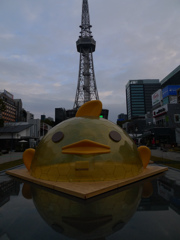 P1000043