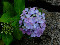 DSCF2347-13s