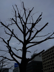 P1000032