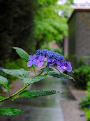 DSCF2360-17s