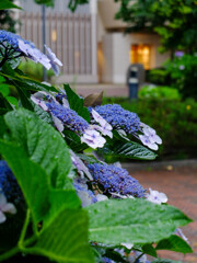 DSCF2292-7s