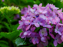 DSCF2334-9s