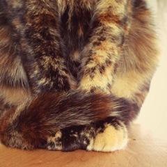 つまみ