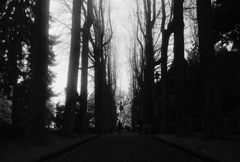 公園