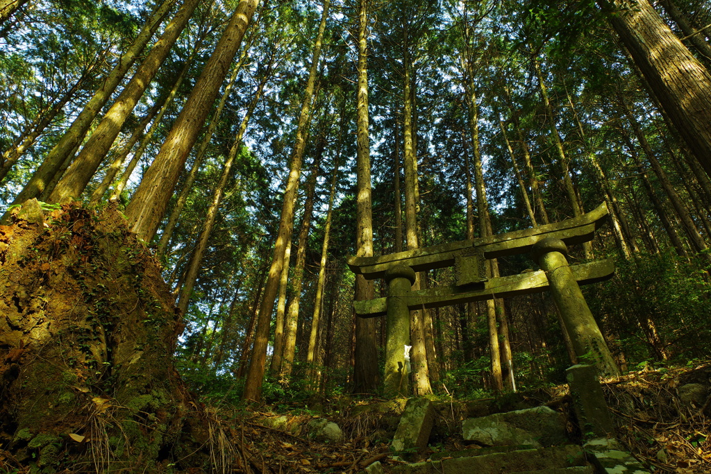 ゆらめく夕陽