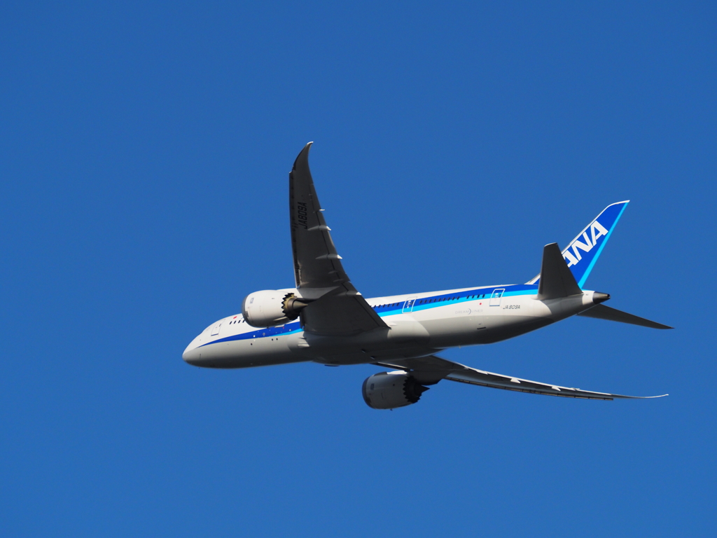 B787
