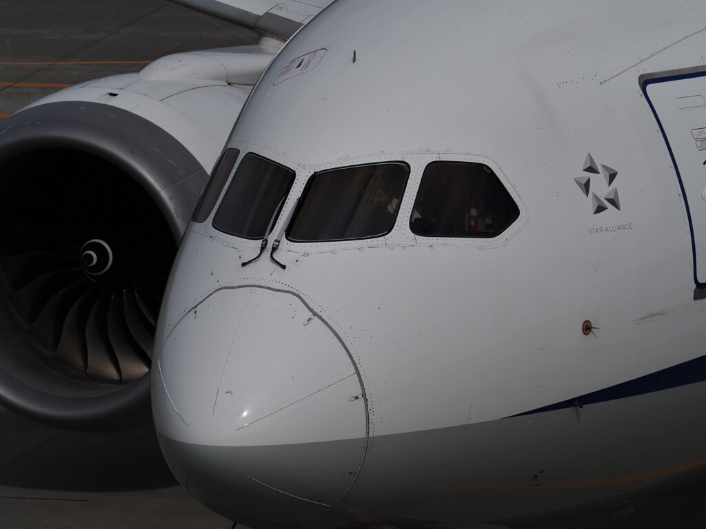 B787