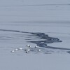 ウトナイ湖