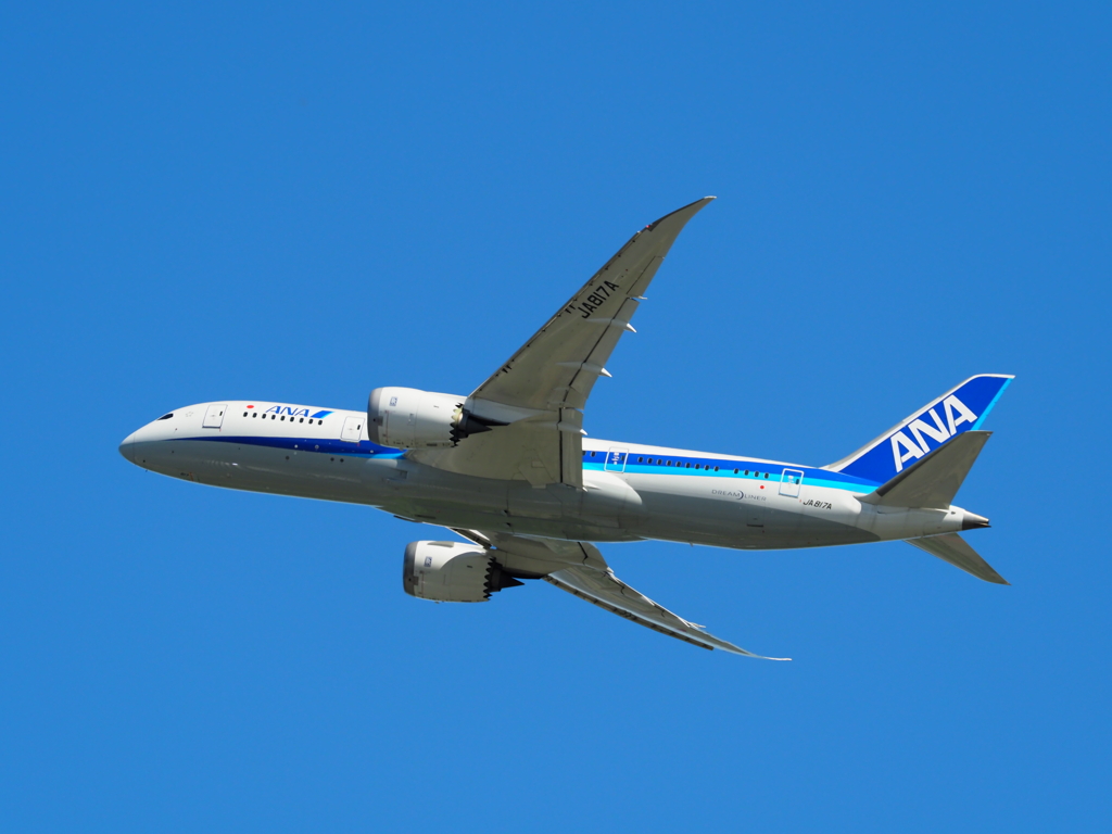 B787